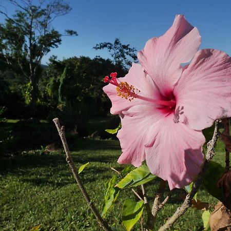 La Joupa Case Anthurium Sainte-Rose Dış mekan fotoğraf