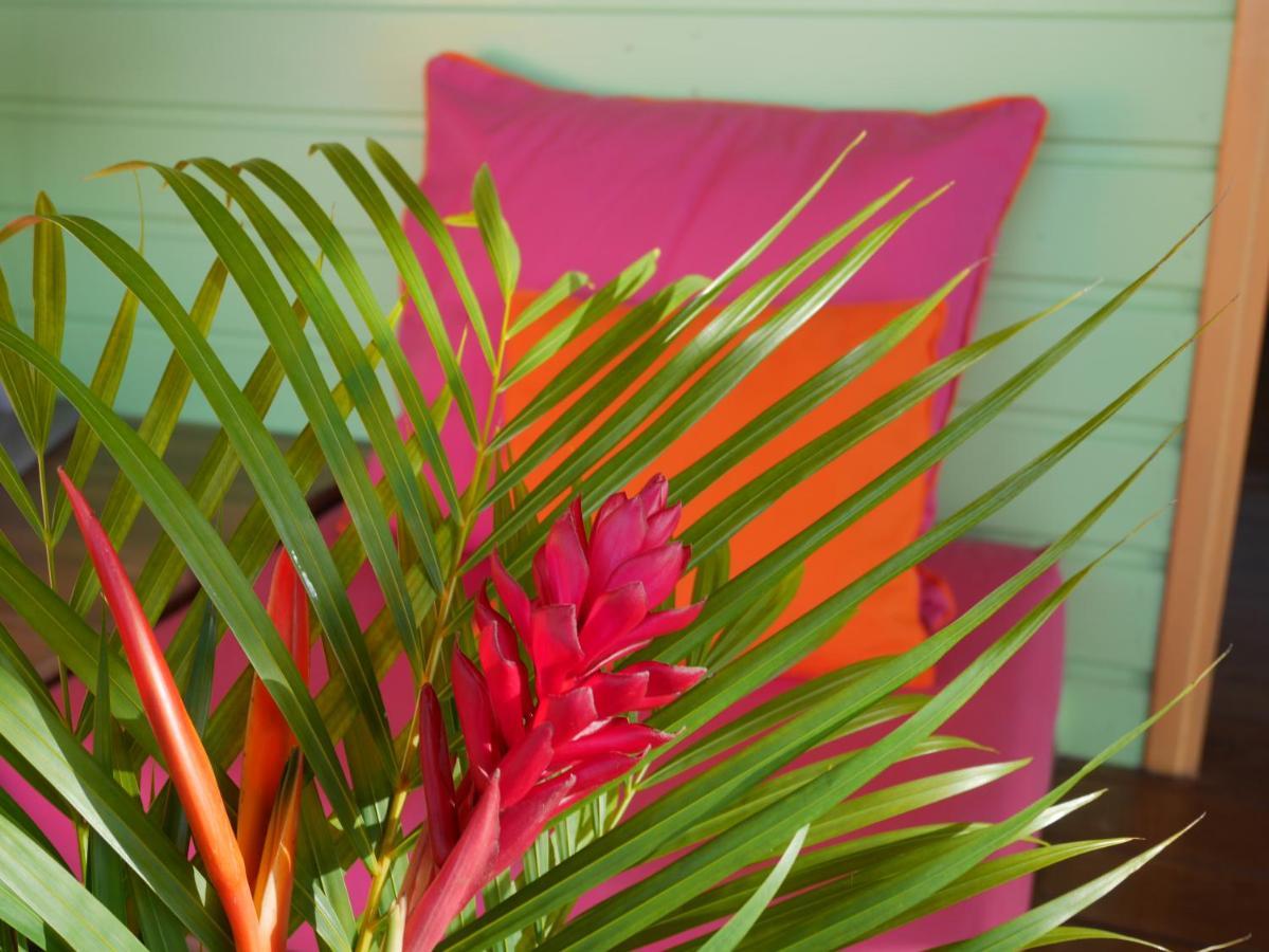 La Joupa Case Anthurium Sainte-Rose Dış mekan fotoğraf