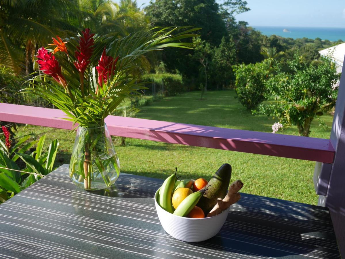 La Joupa Case Anthurium Sainte-Rose Dış mekan fotoğraf
